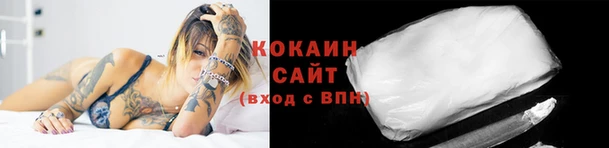 a pvp Дмитров