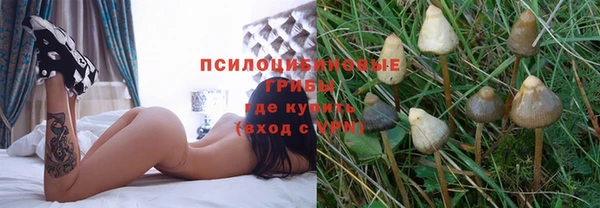 jwh Медногорск