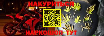 стафф Волгодонск