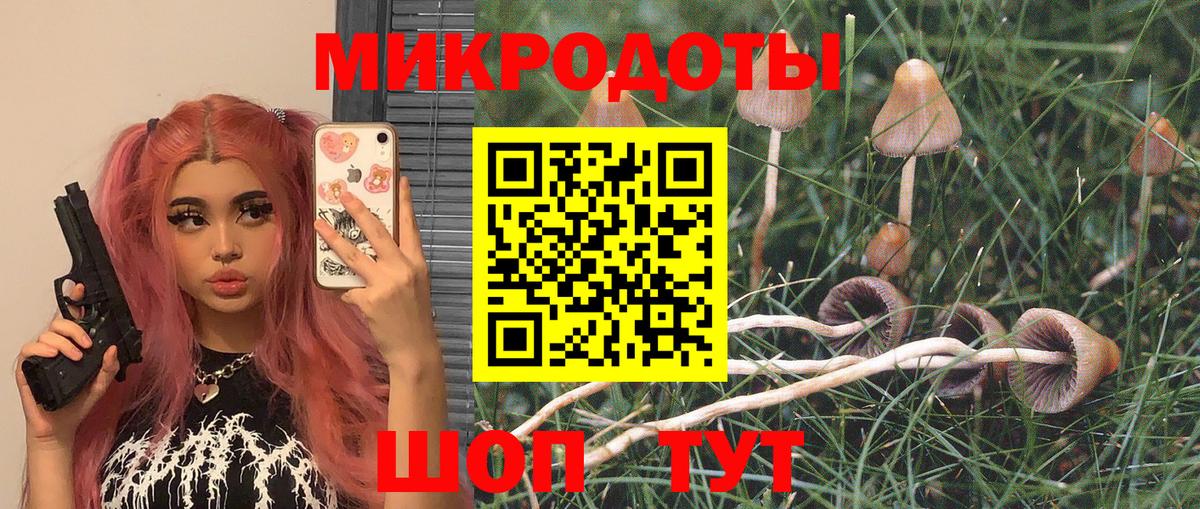 Галлюциногенные грибы Psilocybe  Вход с VPN  Псилоцибиновые грибы GOLDEN TEACHER  Еманжелинск 