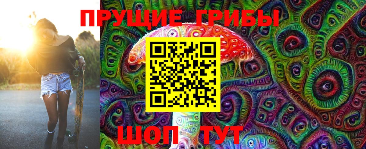 Псилоцибиновые грибы Psilocybe  Еманжелинск 