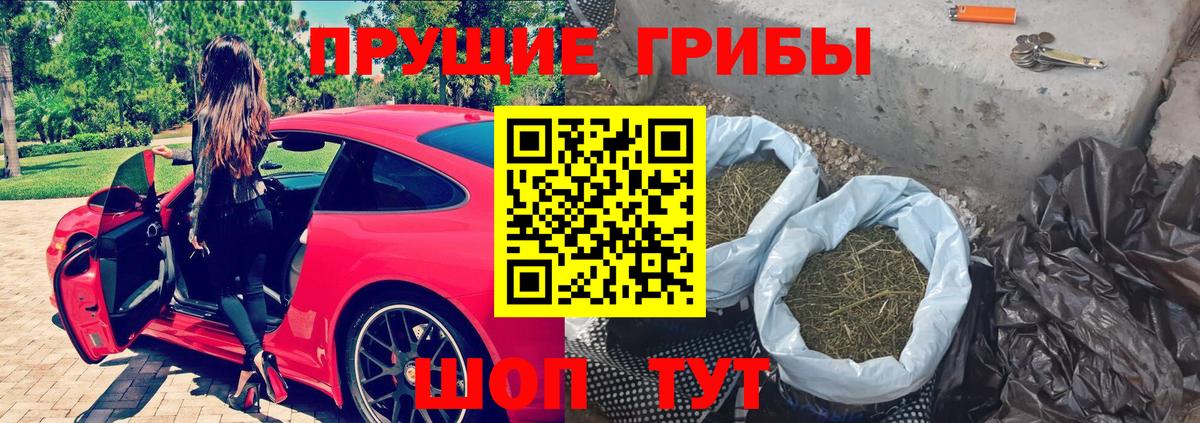 Псилоцибиновые грибы прущие грибы Еманжелинск